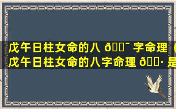 戊午日柱女命的八 🐯 字命理（戊午日柱女命的八字命理 🌷 是什么）